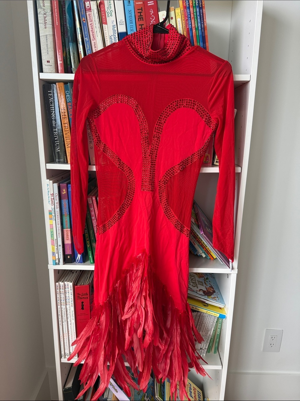 Samba professional dancer dress